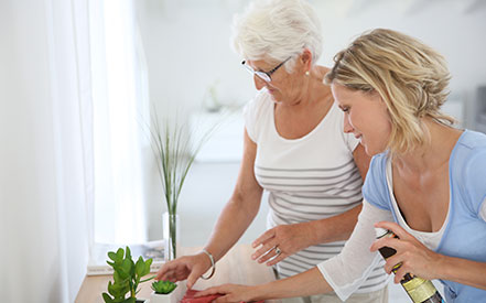 A senior woman works with a younger to organize succulent plants