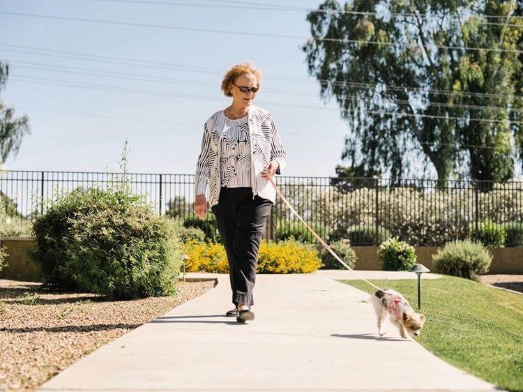 Dog friendly senior communities in Arizona